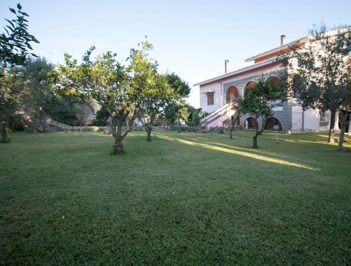 Casa Vacanze "Gli Ulivi" Apt 1 Apartment Matzaccara Exterior photo